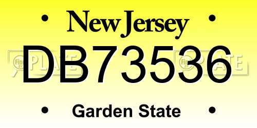 DB73536 New Jersey License Plate