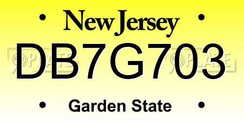 DB7G703 New Jersey License Plate