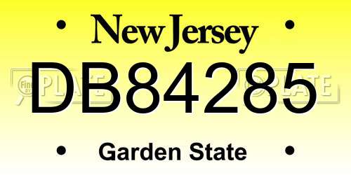 DB84285 New Jersey License Plate