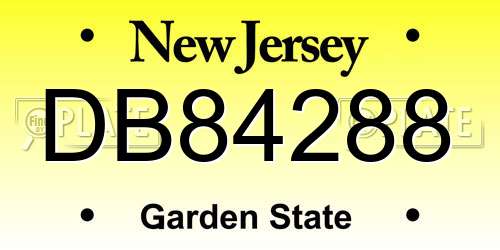 DB84288 New Jersey License Plate