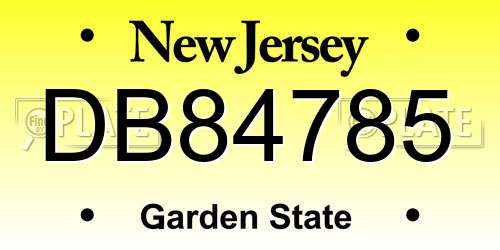 DB84785 New Jersey License Plate