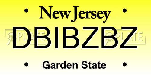 DBIBZBZ New Jersey License Plate