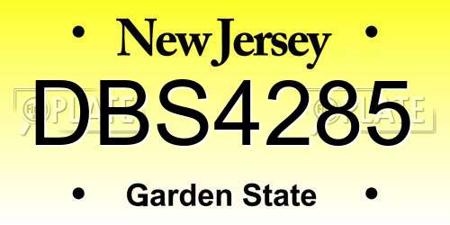 DBS4285 New Jersey License Plate