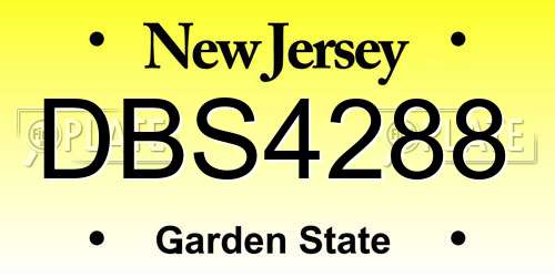 DBS4288 New Jersey License Plate