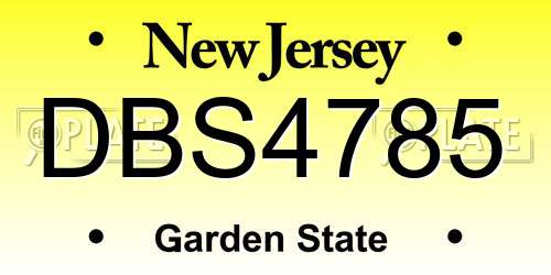 DBS4785 New Jersey License Plate