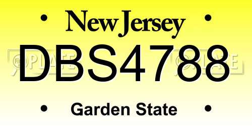 DBS4788 New Jersey License Plate