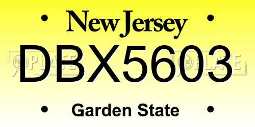 DBX5603 New Jersey License Plate
