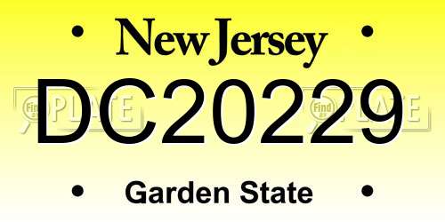 DC20229 New Jersey License Plate