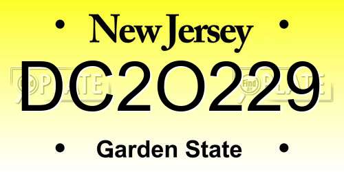 DC2O229 New Jersey License Plate