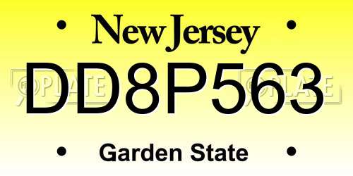 DD8P563 New Jersey License Plate