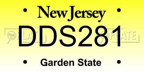 DDS281 New Jersey License Plate