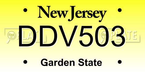 DDV503 New Jersey License Plate