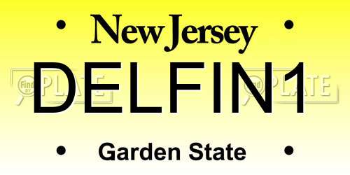 DELFIN1 New Jersey License Plate