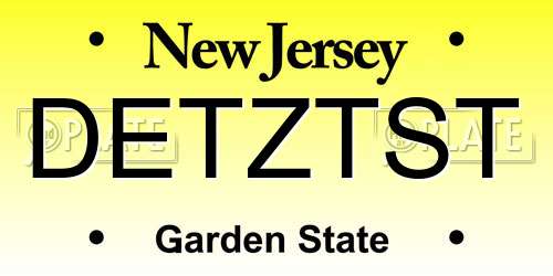 DETZTST New Jersey License Plate