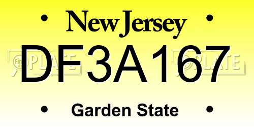 DF3A167 New Jersey License Plate