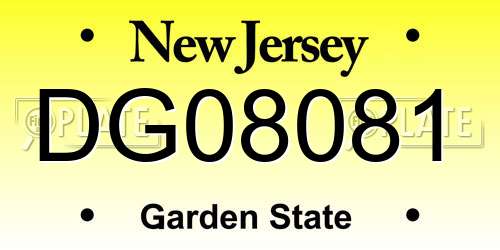 DG08081 New Jersey License Plate