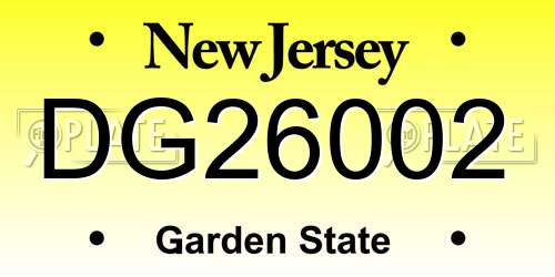 DG26002 New Jersey License Plate