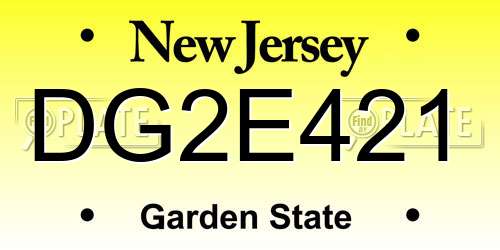 DG2E421 New Jersey License Plate