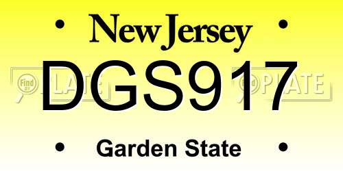 DGS917 New Jersey License Plate
