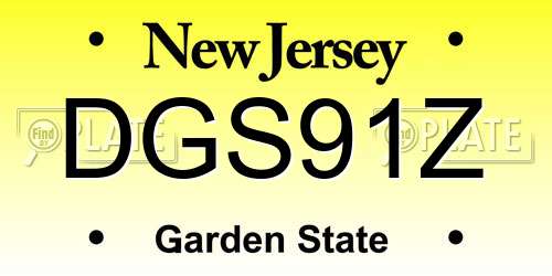 DGS91Z New Jersey License Plate