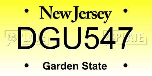 DGU547 New Jersey License Plate