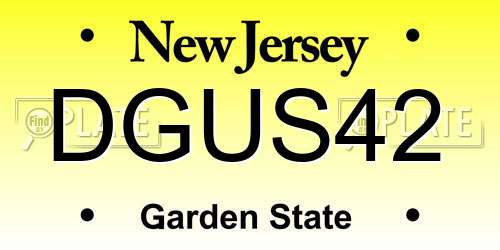DGUS42 New Jersey License Plate