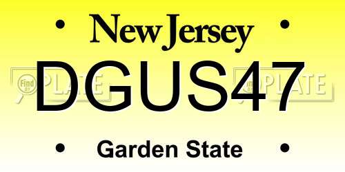 DGUS47 New Jersey License Plate
