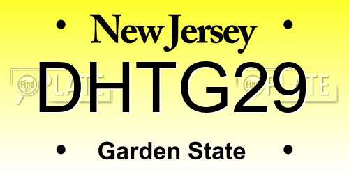 DHTG29 New Jersey License Plate