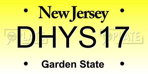 DHYS17 New Jersey License Plate