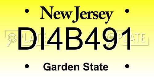 DI4B491 New Jersey License Plate
