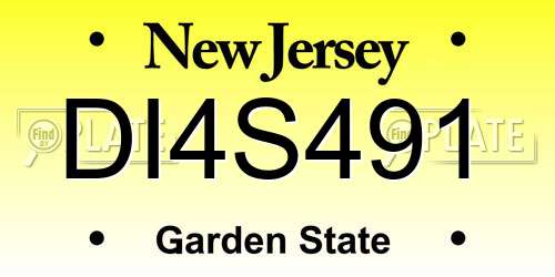 DI4S491 New Jersey License Plate