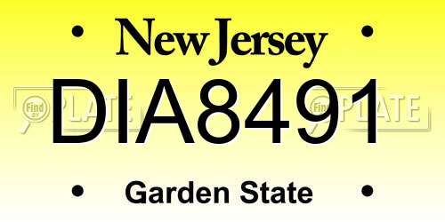 DIA8491 New Jersey License Plate