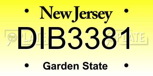 DIB3381 New Jersey License Plate