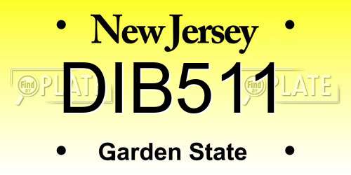DIB511 New Jersey License Plate
