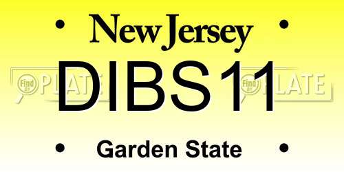 DIBS11 New Jersey License Plate