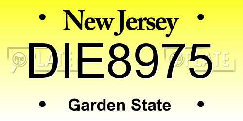 DIE8975 New Jersey License Plate