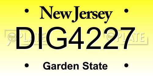 DIG4227 New Jersey License Plate