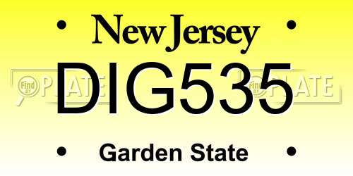 DIG535 New Jersey License Plate