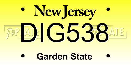 DIG538 New Jersey License Plate