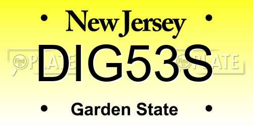 DIG53S New Jersey License Plate