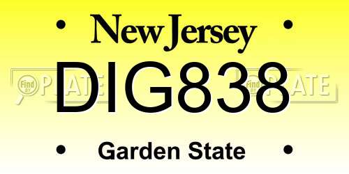 DIG838 New Jersey License Plate
