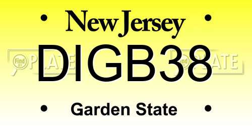 DIGB38 New Jersey License Plate