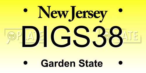 DIGS38 New Jersey License Plate