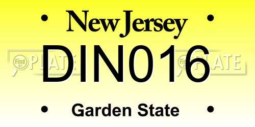 DIN016 New Jersey License Plate