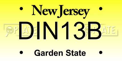 DIN13B New Jersey License Plate