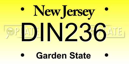 DIN236 New Jersey License Plate