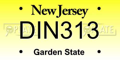 DIN313 New Jersey License Plate