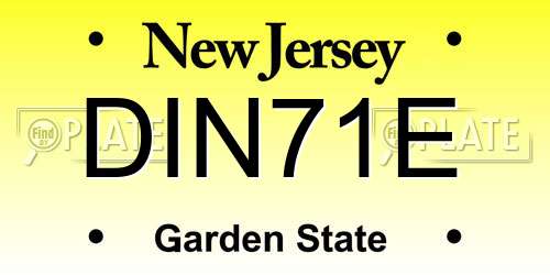 DIN71E New Jersey License Plate