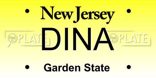 DINA New Jersey License Plate