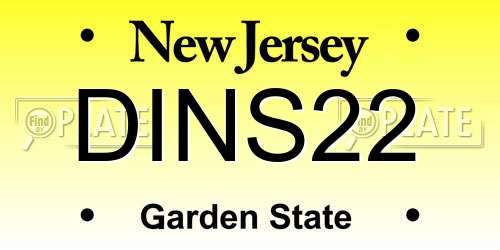 DINS22 New Jersey License Plate